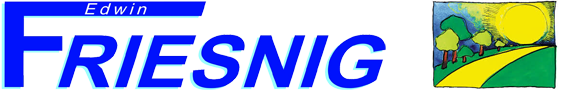 Friesnig Logo
