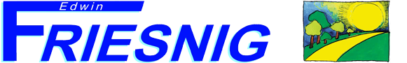 Friesnig Logo